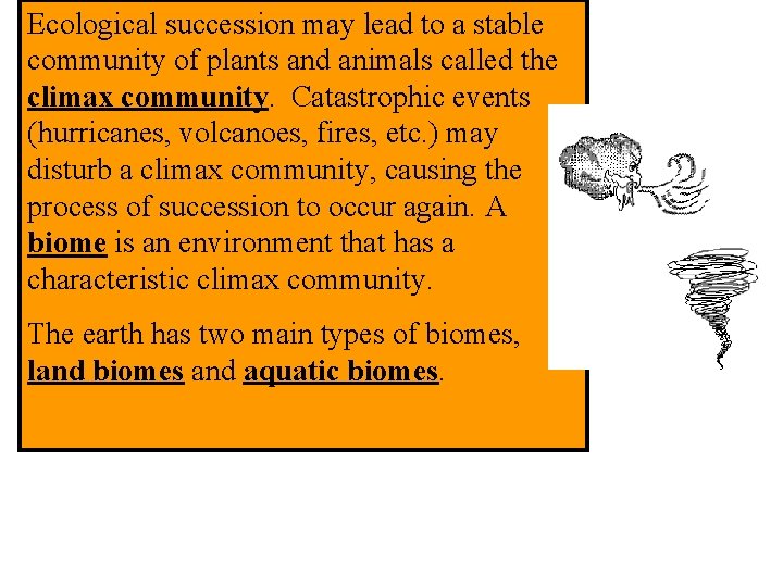 Ecological succession may lead to a stable community of plants and animals called the