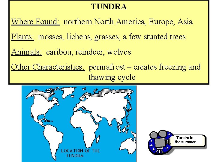 TUNDRA Where Found: northern North America, Europe, Asia Plants: mosses, lichens, grasses, a few