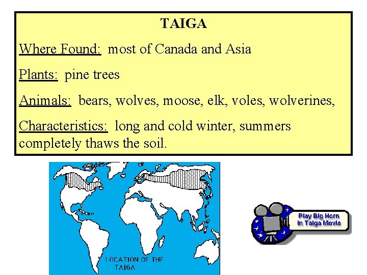 TAIGA Where Found: most of Canada and Asia Plants: pine trees Animals: bears, wolves,