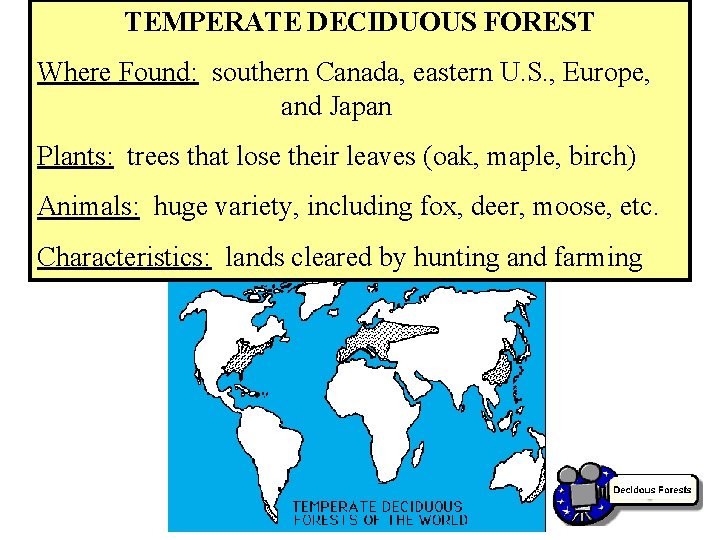 TEMPERATE DECIDUOUS FOREST Where Found: southern Canada, eastern U. S. , Europe, and Japan