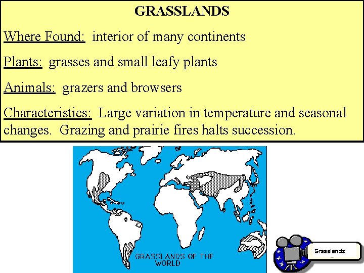 GRASSLANDS Where Found: interior of many continents Plants: grasses and small leafy plants Animals: