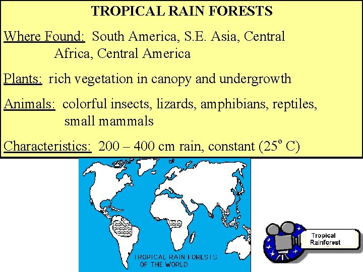 TROPICAL RAIN FORESTS Where Found: South America, S. E. Asia, Central Africa, Central America