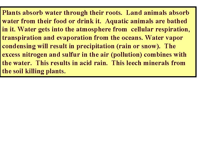 Plants absorb water through their roots. Land animals absorb water from their food or