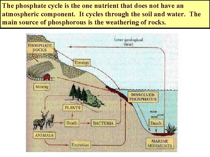 The phosphate cycle is the one nutrient that does not have an atmospheric component.