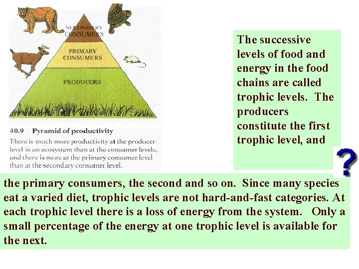 The successive levels of food and energy in the food chains are called trophic