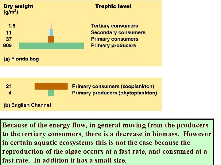 Because of the energy flow, in general moving from the producers to the tertiary