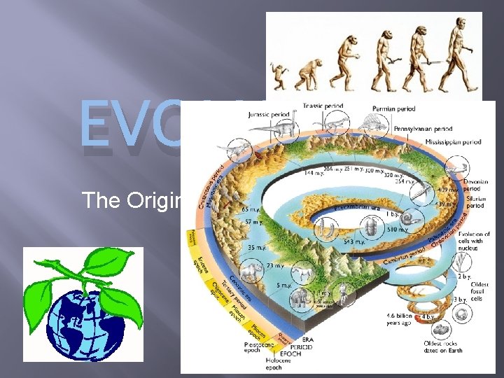 EVOLUTION The Origin and Evolution of Plants. . ? 