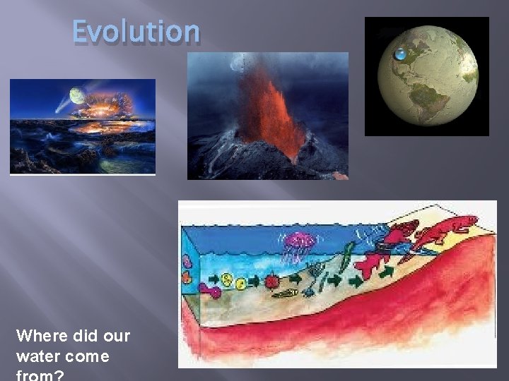 Evolution Where did our water come 