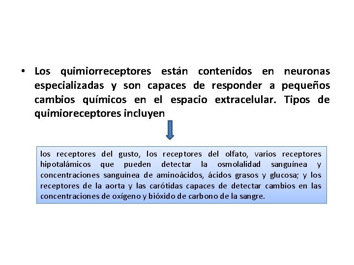  • Los quimiorreceptores están contenidos en neuronas especializadas y son capaces de responder