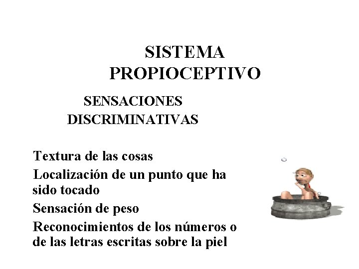 SISTEMA PROPIOCEPTIVO SENSACIONES DISCRIMINATIVAS Textura de las cosas Localización de un punto que ha