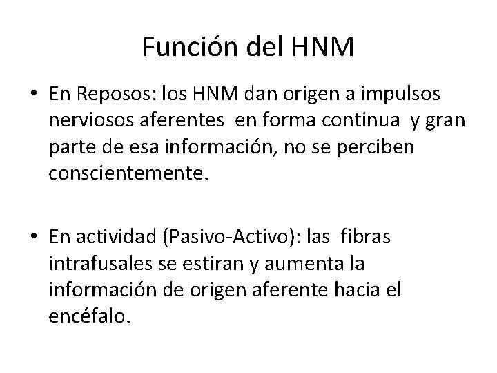 Función del HNM • En Reposos: los HNM dan origen a impulsos nerviosos aferentes