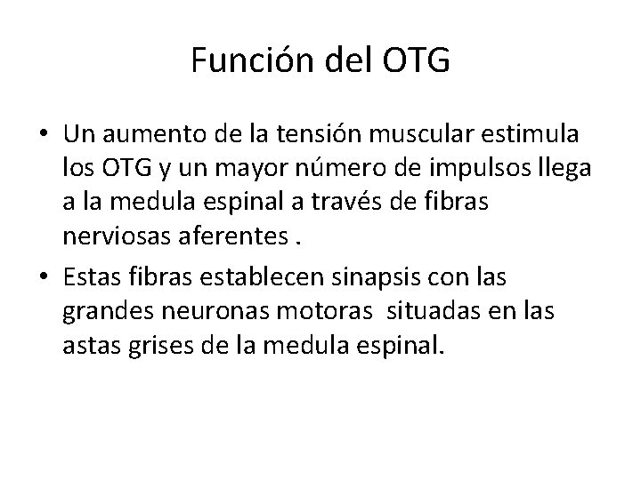 Función del OTG • Un aumento de la tensión muscular estimula los OTG y