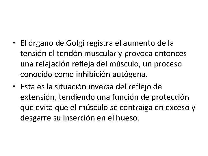  • El órgano de Golgi registra el aumento de la tensión el tendón