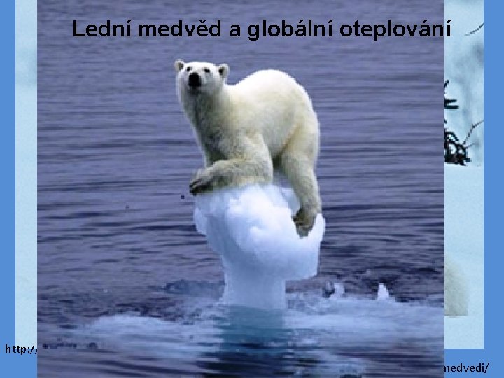 Lední medvěd a globální oteplování http: //www. tropical-rainforest-animals. com/Polar-Bears-and-Global-Warming. html http: //radushka 5. txt.