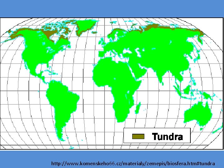 http: //www. komenskeho 66. cz/materialy/zemepis/biosfera. htm#tundra 