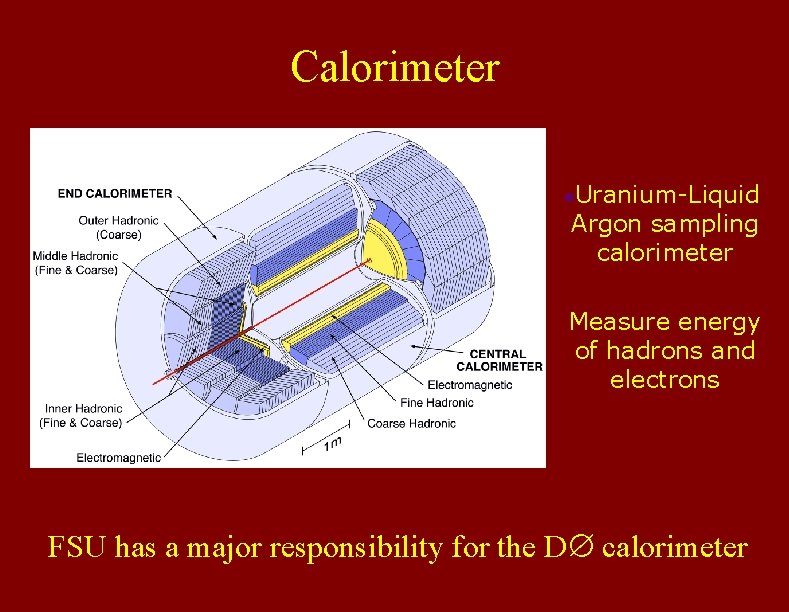 Calorimeter Uranium-Liquid Argon sampling calorimeter l Measure energy of hadrons and electrons FSU has