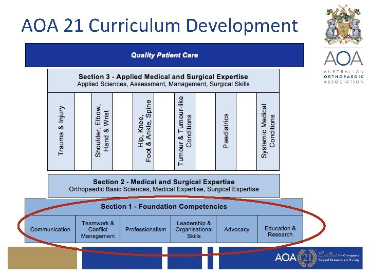 AOA 21 Curriculum Development 