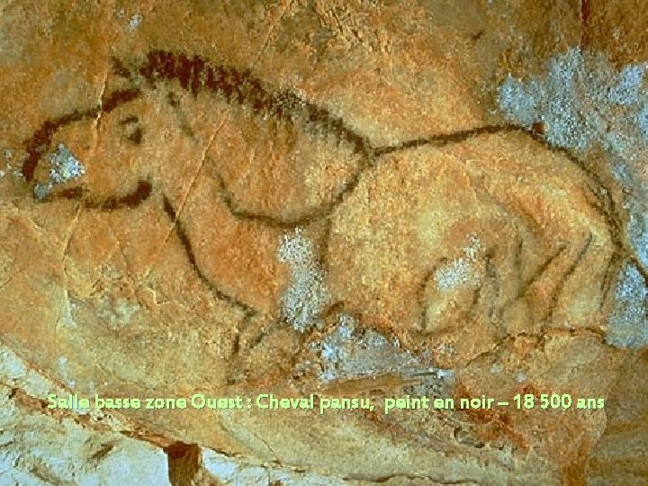 Salle basse zone Ouest : Cheval pansu, peint en noir – 18 500 ans