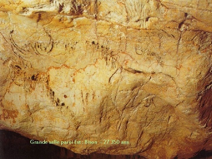 Grande salle paroi Est : Bison – 27 350 ans 
