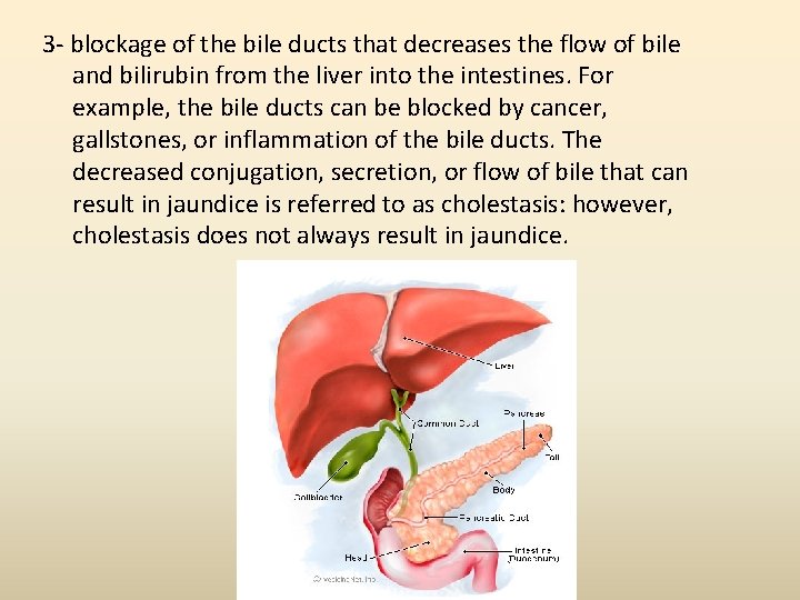 3 - blockage of the bile ducts that decreases the flow of bile and 3 - blockage of the bile ducts that decreases the flow of bile and