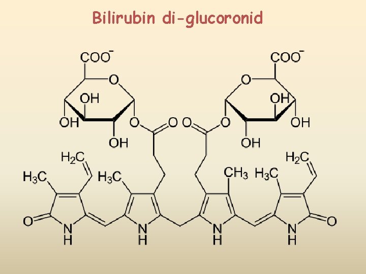 Bilirubin di-glucoronid Bilirubin di-glucoronid