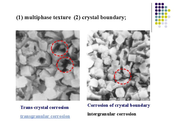 (1) multiphase texture (2) crystal boundary; Trans-crystal corrosion Corrosion of crystal boundary transgranular corrosion