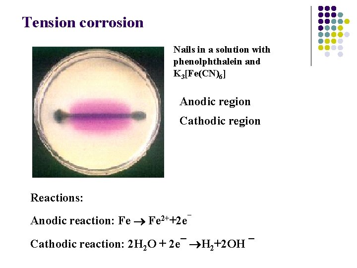 Tension corrosion Nails in a solution with phenolphthalein and K 3[Fe(CN)6] Anodic region Cathodic