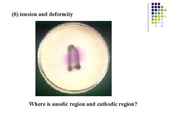 (6) tension and deformity Where is anodic region and cathodic region? 