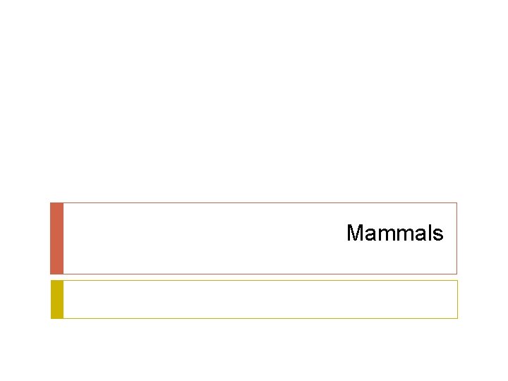 Mammals 