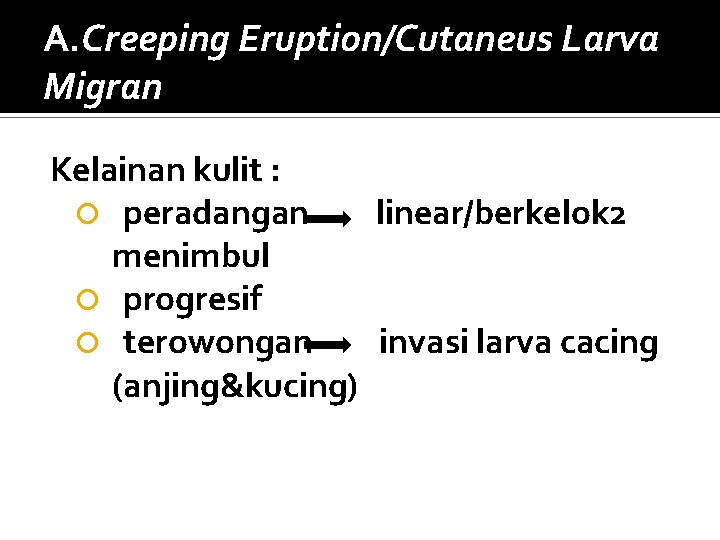 A. Creeping Eruption/Cutaneus Larva Migran Kelainan kulit : peradangan linear/berkelok 2 menimbul progresif terowongan