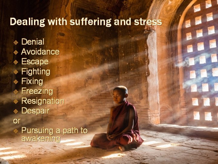 Dealing with suffering and stress v v v v Denial Avoidance Escape Fighting Fixing