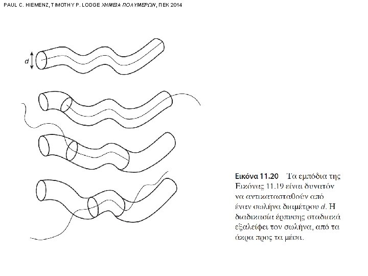 PAUL C. HIEMENZ, TIMOTHY P. LODGE ΧΗΜΕΙΑ ΠΟΛΥΜΕΡΩΝ, ΠΕΚ 2014 