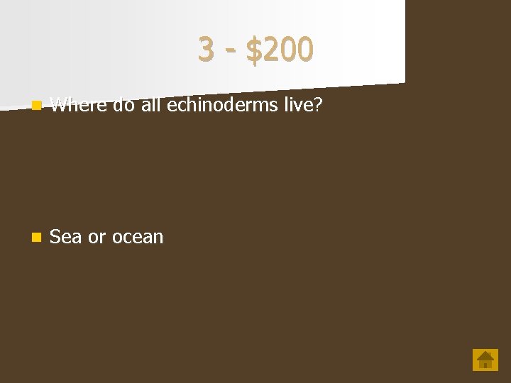 3 - $200 n Where do all echinoderms live? n Sea or ocean 