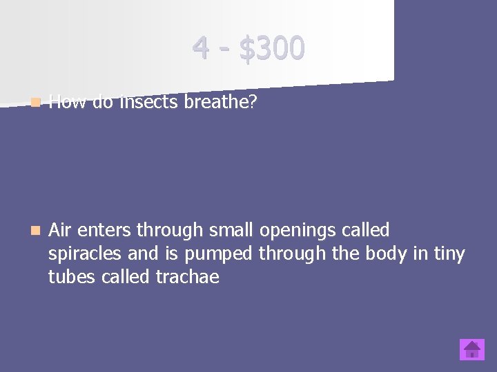 4 - $300 n How do insects breathe? n Air enters through small openings