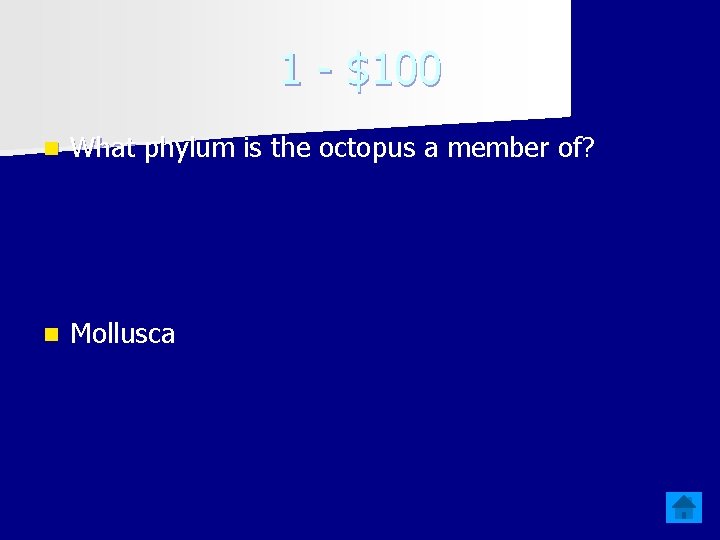 1 - $100 n What phylum is the octopus a member of? n Mollusca