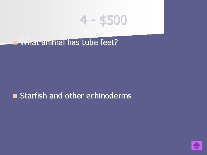 4 - $500 n What animal has tube feet? n Starfish and other echinoderms