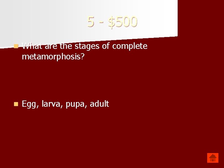 5 - $500 n What are the stages of complete metamorphosis? n Egg, larva,