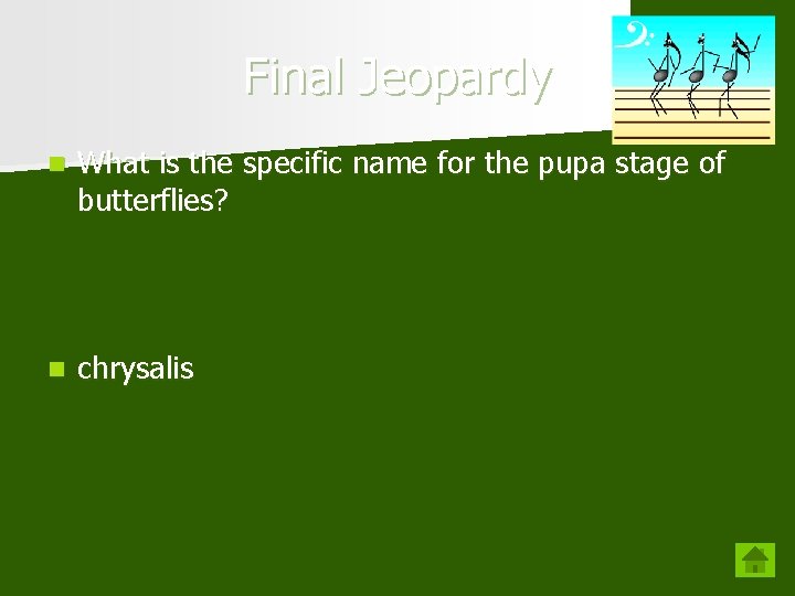 Final Jeopardy n What is the specific name for the pupa stage of butterflies?