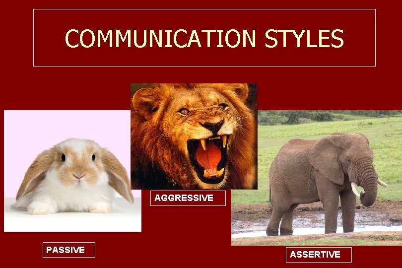 COMMUNICATION STYLES AGGRESSIVE PASSIVE ASSERTIVE 