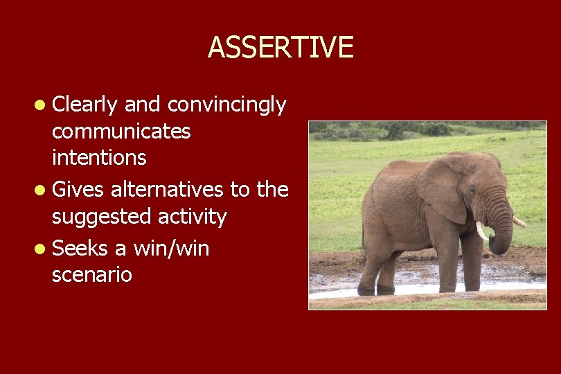 ASSERTIVE l Clearly and convincingly communicates intentions l Gives alternatives to the suggested activity