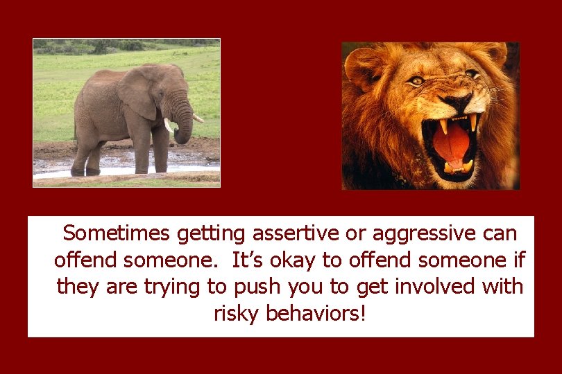 Sometimes getting assertive or aggressive can offend someone. It’s okay to offend someone if