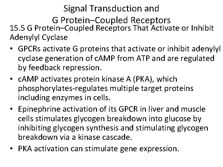 Signal Transduction and G Protein–Coupled Receptors 15. 5 G Protein–Coupled Receptors That Activate or