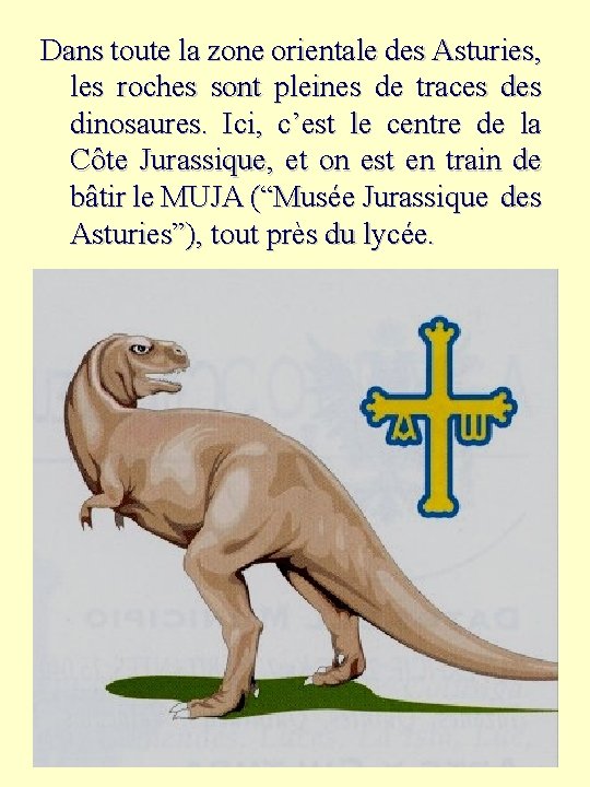 Dans toute la zone orientale des Asturies, les roches sont pleines de traces dinosaures.