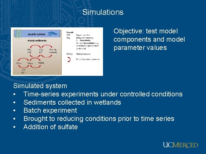 Simulations Objective: test model components and model parameter values Simulated system • Time-series experiments
