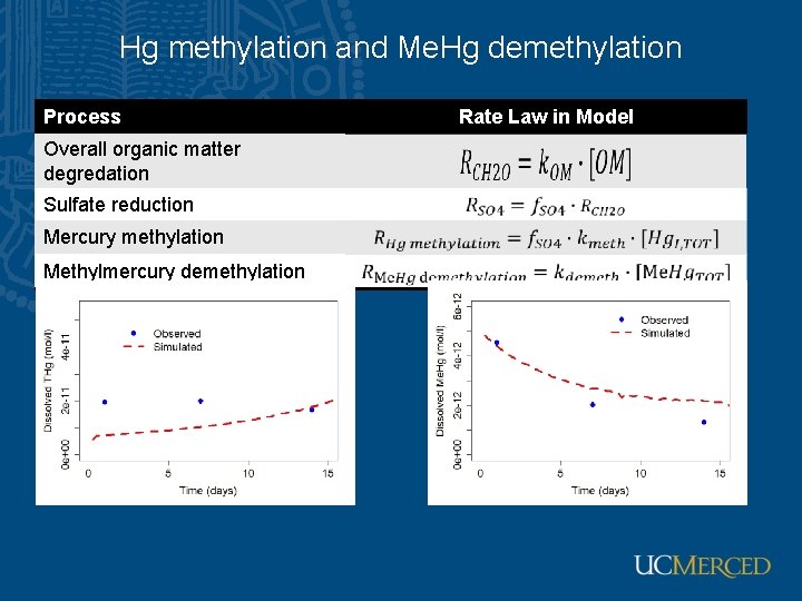 Hg methylation and Me. Hg demethylation Process Overall organic matter degredation Sulfate reduction Mercury