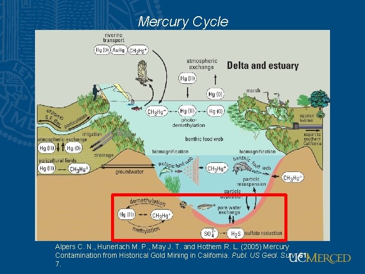 Mercury Cycle Alpers C. N. , Hunerlach M. P. , May J. T. and