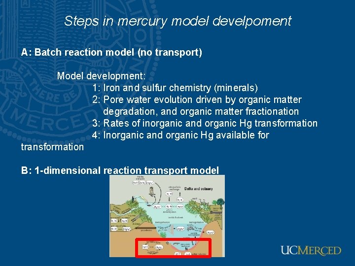 Steps in mercury model develpoment A: Batch reaction model (no transport) Model development: 1:
