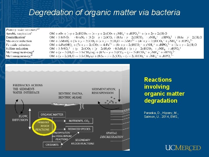 Degredation of organic matter via bacteria Reactions involving organic matter degradation Paraska, D. ,