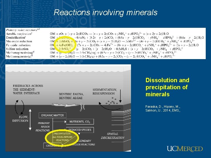 Reactions involving minerals Dissolution and precipitation of minerals Paraska, D. , Hipsey, M. ,