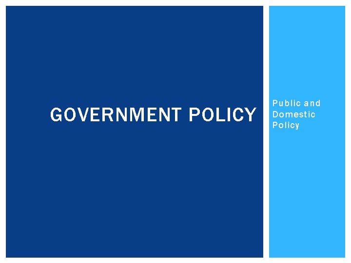 GOVERNMENT POLICY Public and Domestic Policy 